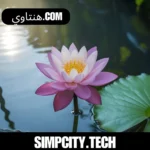 هنتاوي.com